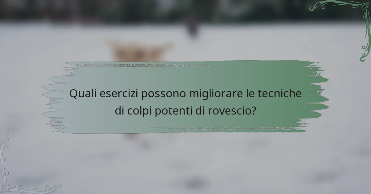 Quali esercizi possono migliorare le tecniche di colpi potenti di rovescio?